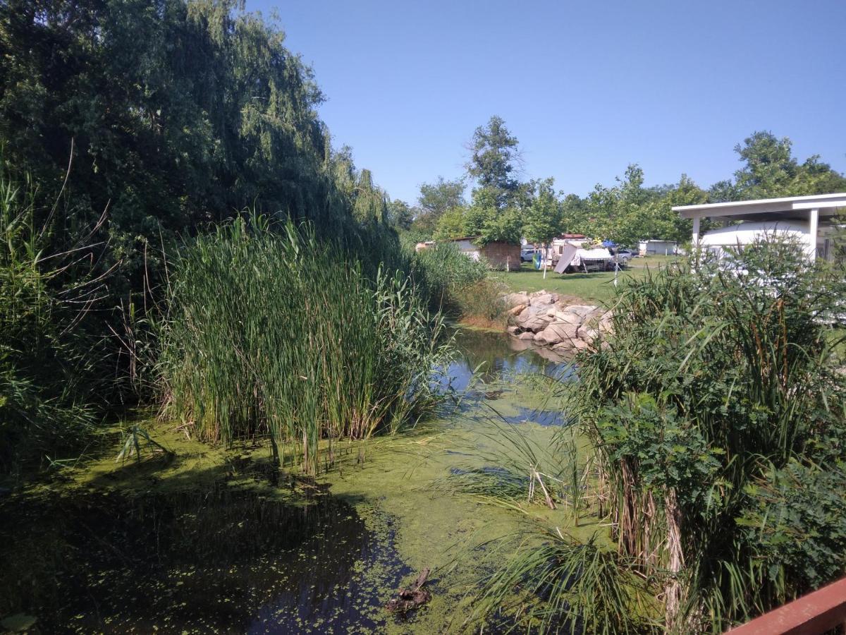 Camping Goldfish Szozopol Kültér fotó